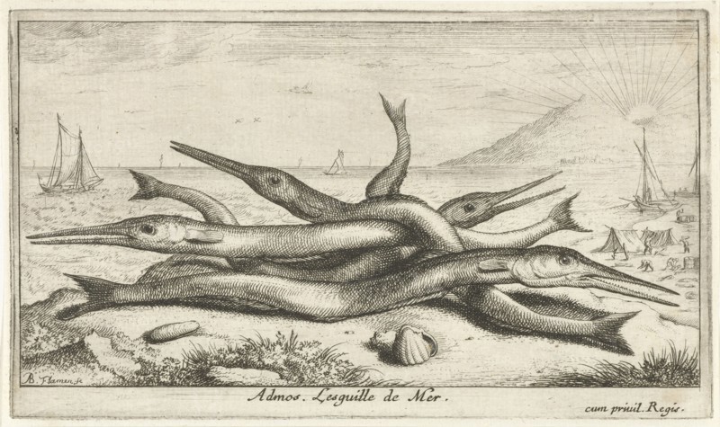 Gars on the beach, Albert Flamen, Jacques van Merlen, Lodewijk XIV (koning van Frankrijk), 1664