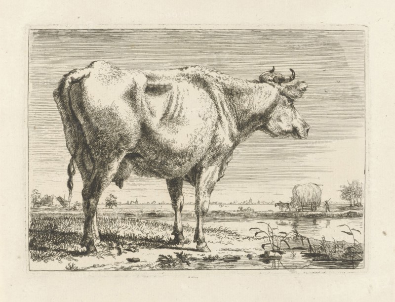 Standing cow, Pieter Gerardus van Os, 1798