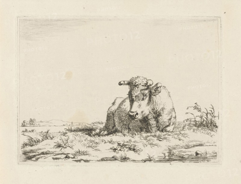 Lying cow, Pieter Gerardus van Os, 1798