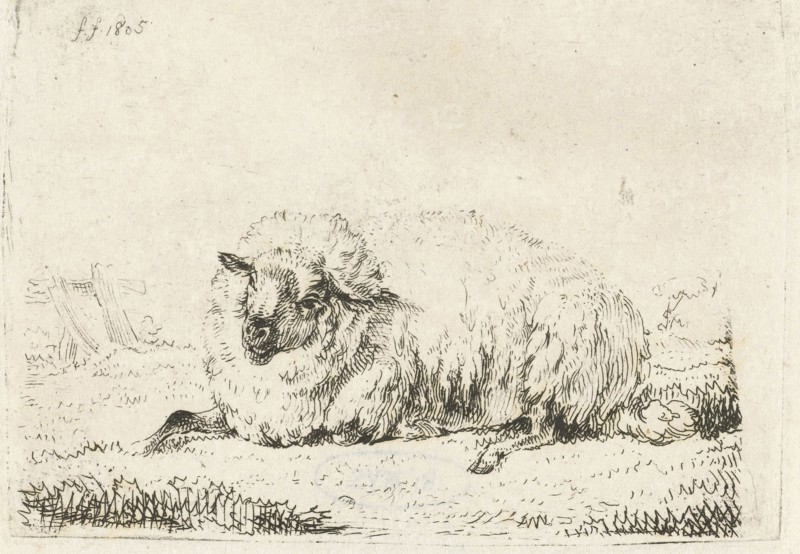 Lying sheep with thick fur, Frédéric Théodore Faber, 1805