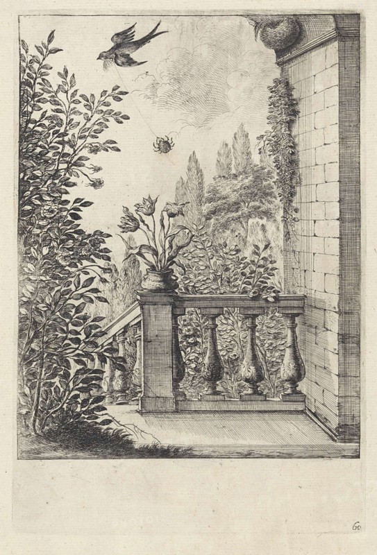 Fable of the spider and the swallow, Dirk Stoop, John Ogilby, 1665