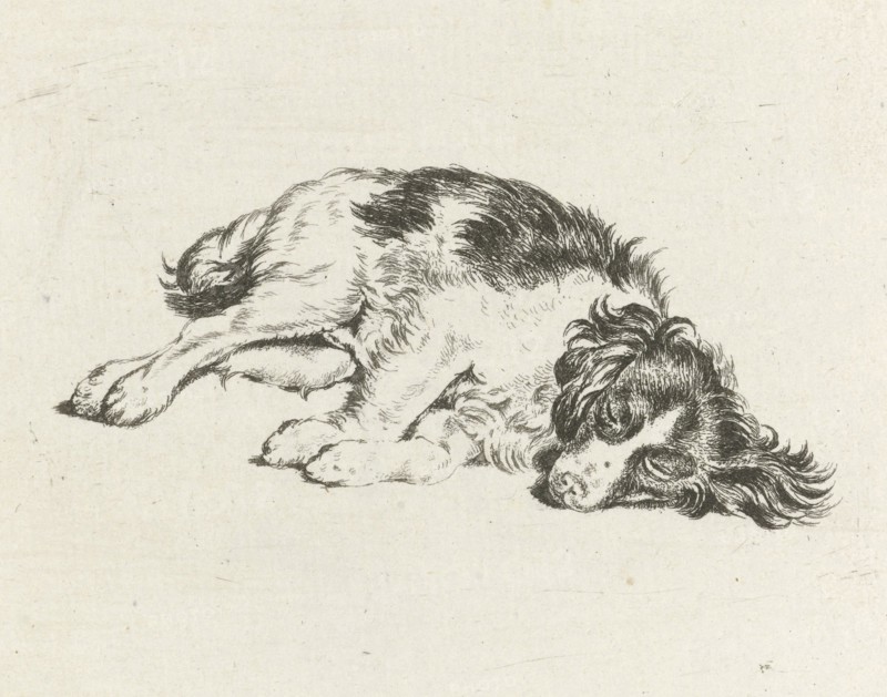 Sleeping dog, Hendrik Godart de Marée, 1752 - 1783