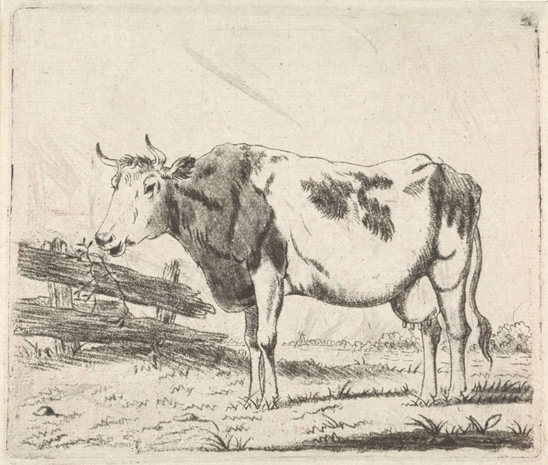 Cow at fence, Pieter Janson, 1780 - 1851