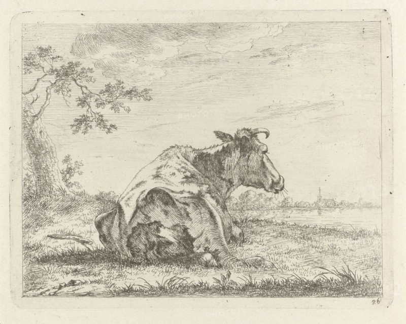 Lying cow on waterfront, Johannes Janson, 1761 - 1784