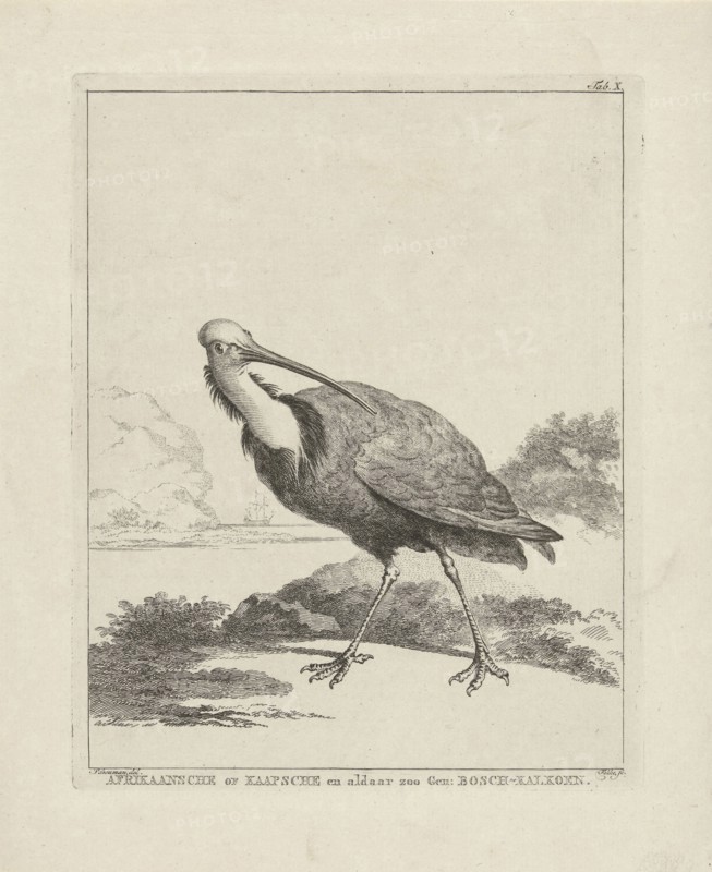 Turkey, Simon Fokke, 1722 - 1784