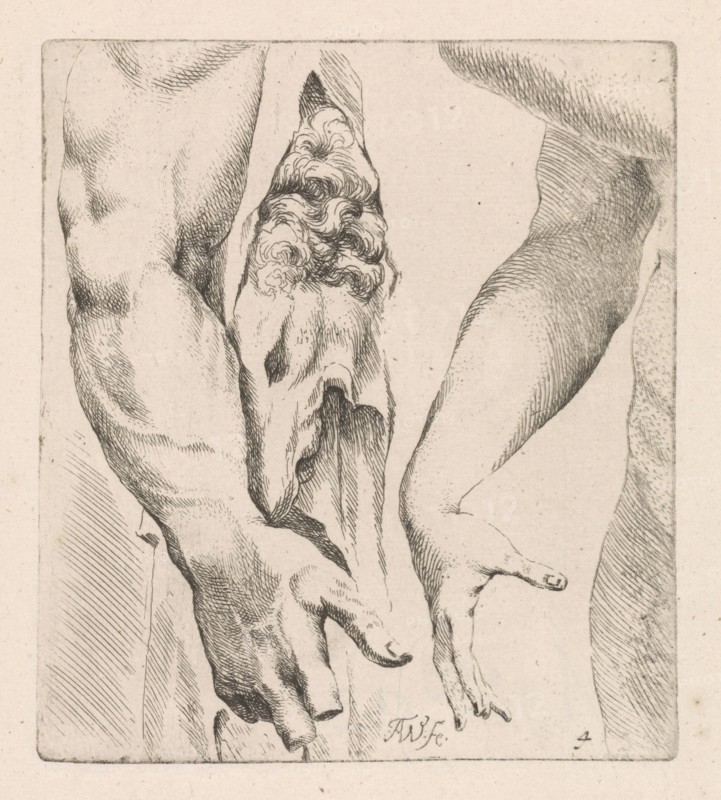Armstudies, Augustinus Terwesten (I), 1672 - 1711