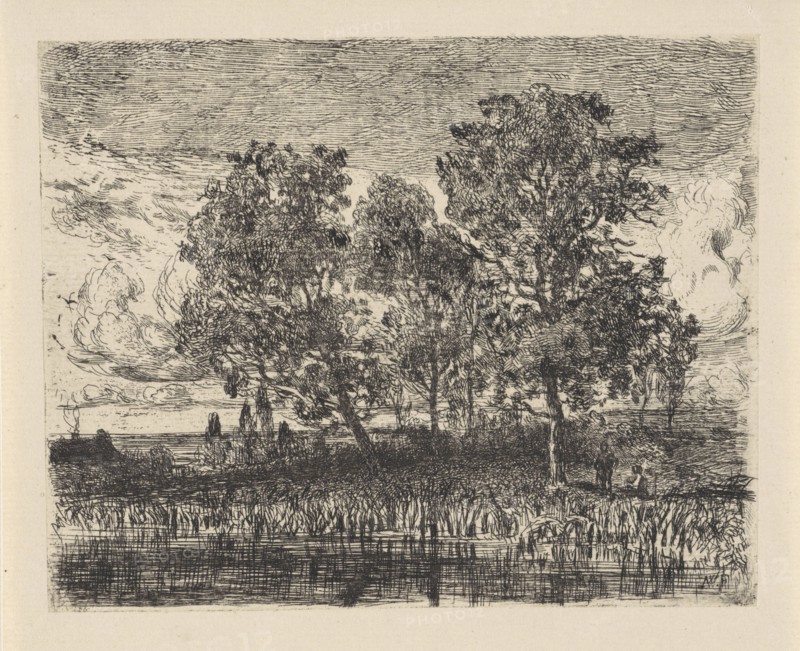 Three trees on a shore, Augustinus Jacobus Bernardus Wouters, 1839 - 1904