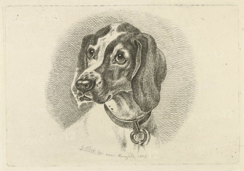 Dogs head with a necklace with ring, Johannes Mock, 1825