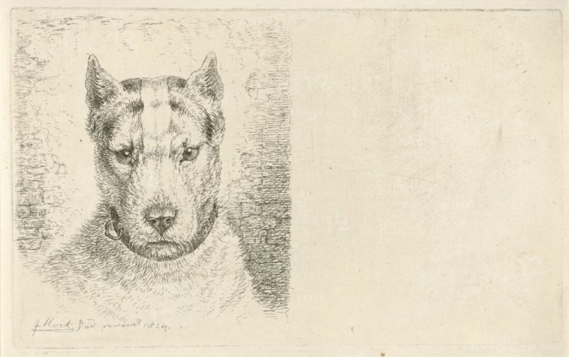 Dogs head with collar, Johannes Mock, 1824