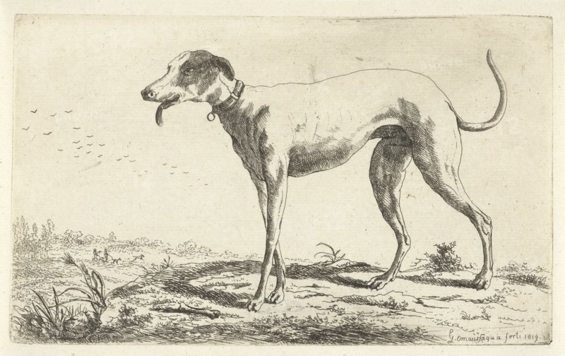 Greyhound Diana, Gerardus Emaus de Micault, 1819
