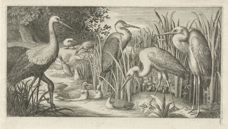 Storks and ducks at a pond, Jan van Londerseel, 1580 - 1625