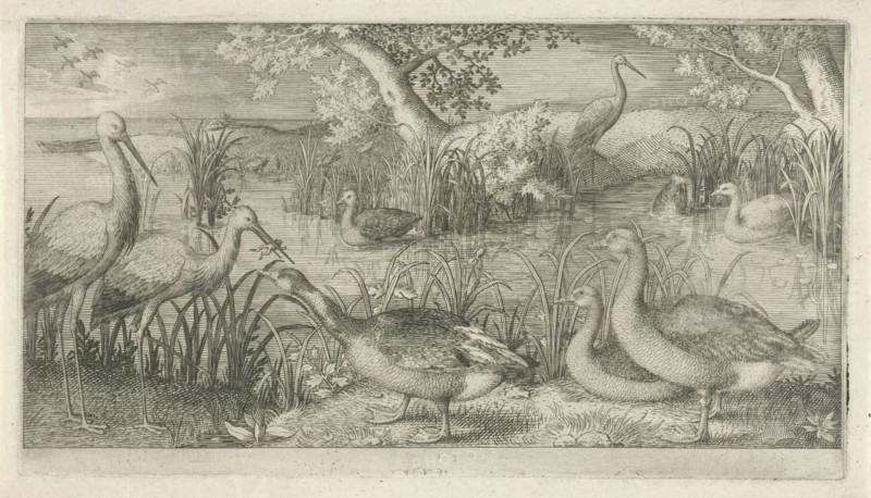 Waterfowl in a pond, Jan van Londerseel, 1580 - 1625