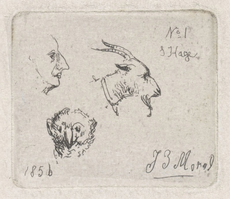 Mans Head, goat and owl, Jan Evert Morel (II), 1856