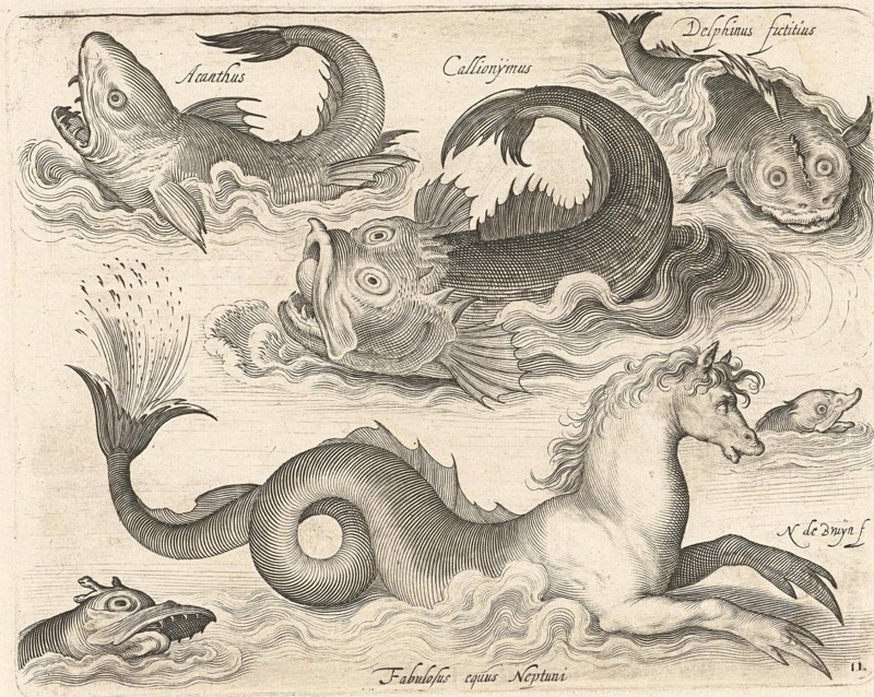 Fantastic invertebrates, including a seahorse, Nicolaes de Bruyn, 1581 - 1656