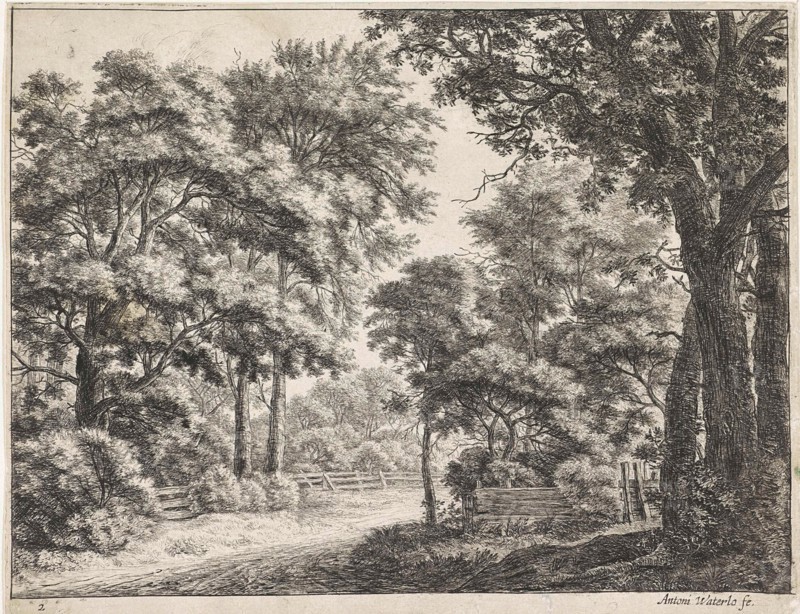 Large trees on either side of a path, Anthonie Waterloo, 1630 - 1663