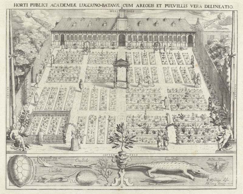 Hortus Botanicus of Leiden University, The Netherlands, Willem Isaacsz. van Swanenburg, Andries Clouck, 1610