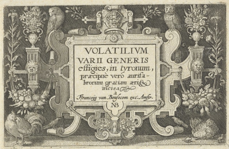 Title cartouche with ornaments and birds, Nicolaes de Bruyn, 1594