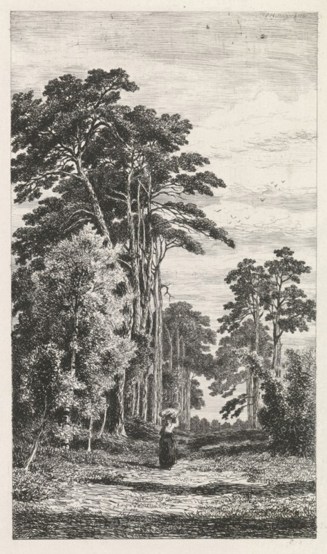 Dennenlaan, Alexander Mollinger, 1860
