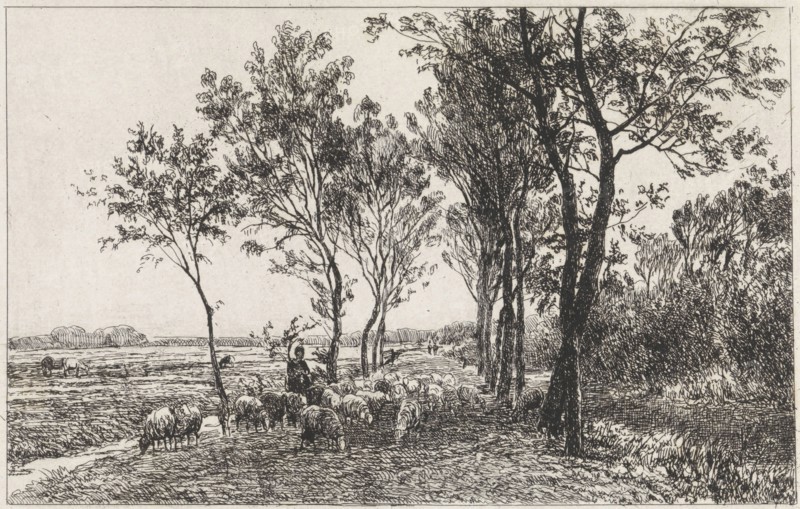 Landscape with Shepherd and flock of sheep, Julius Jacobus van de Sande Bakhuyzen, 1845 - 1925