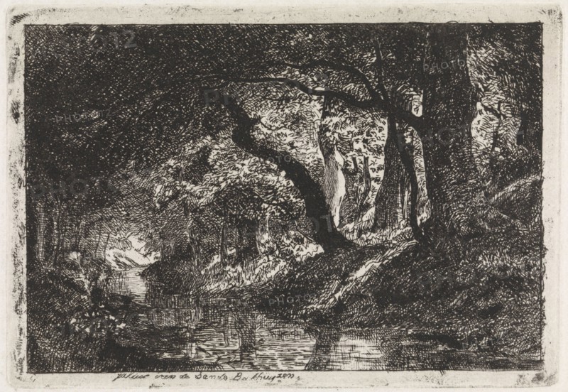 Wooded Landscape with stream and trees on shore, Julius Jacobus van de Sande Bakhuyzen, c. 1845 - c. 1925