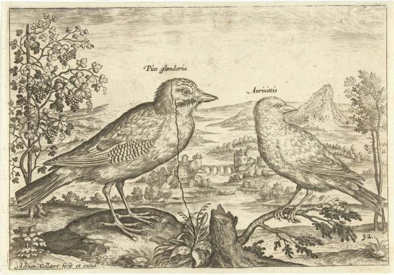 Two birds in a landscape, Adriaen Collaert, 1598 - 1602