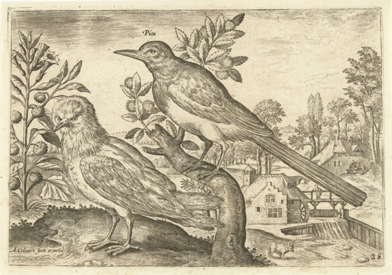 Two birds in a landscape, Adriaen Collaert, 1598 - 1602