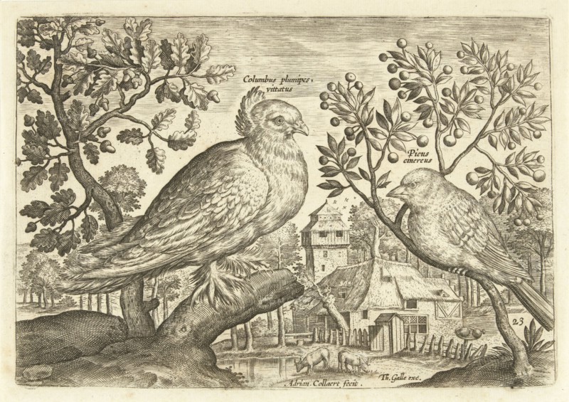 Two birds in a landscape, Adriaen Collaert, 1598 - 1618
