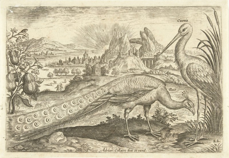 Two birds in a landscape, Adriaen Collaert, 1598 - 1602