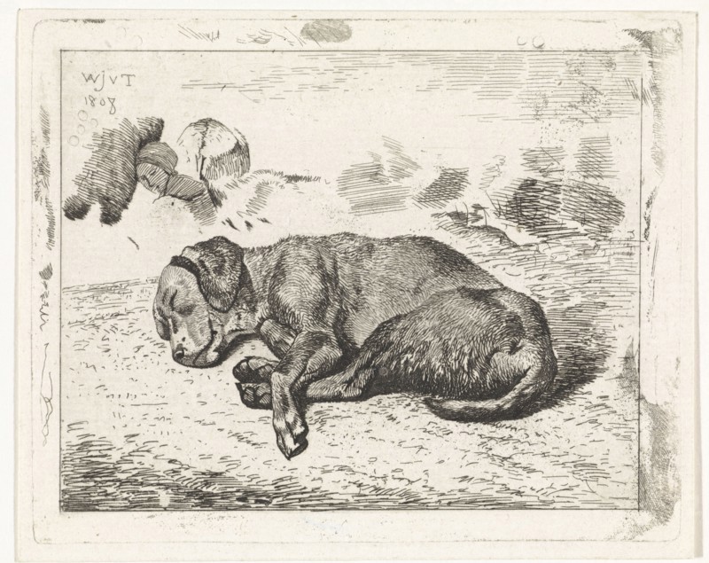 Sleeping dog, Wouter Johannes van Troostwijk, 1810