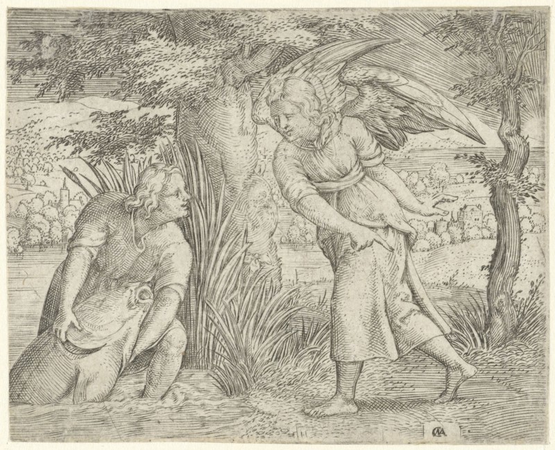 Tobias and the fish, print maker: Cornelis Massijs, 1544 - 1556