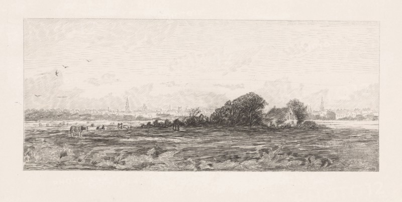 Cityscape with meadows in the foreground, Elias Stark, 1859 - 1891