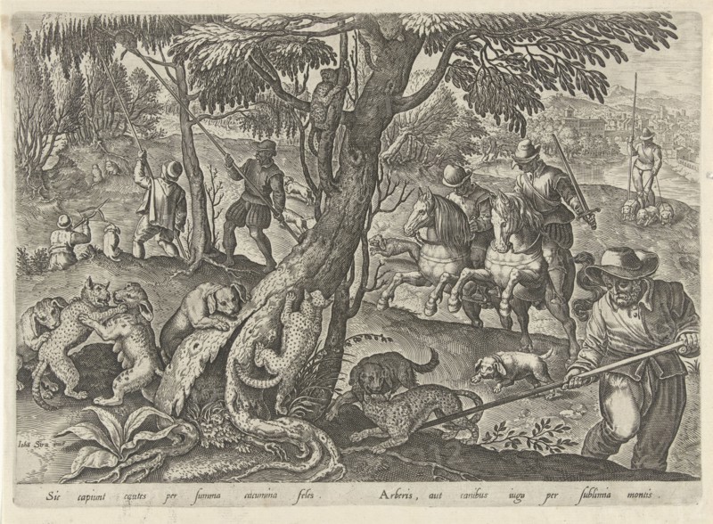 Hunting wild cats, Philips Galle, 1578