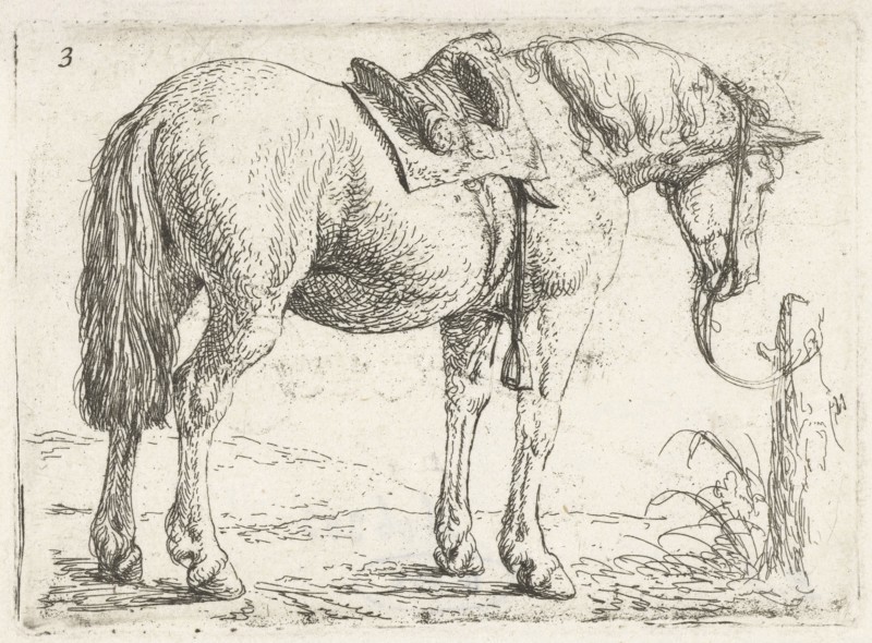 Horse with saddle, Jan van Aken, Jochem Bormeester, 1624 - 1661