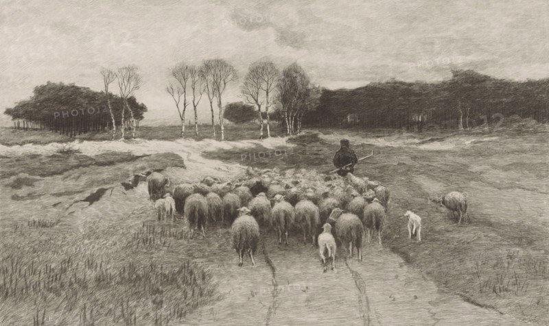 Shepherd, Elias Stark, 1889
