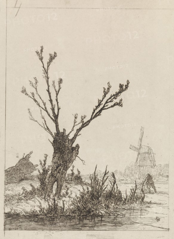 Skater with sled in a willow, Johannes Franciscus Hoppenbrouwers, 1829 - 1866