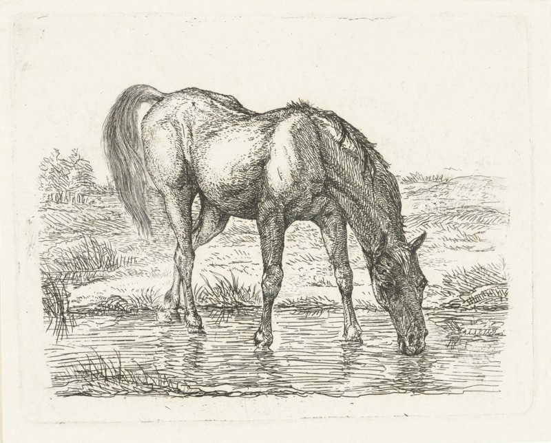 Drinking horse, Jan Dasveldt, 1780 - 1855