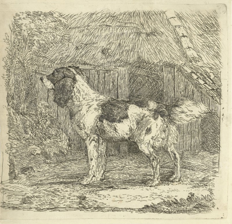 Dog standing in loft, Jan Dasveldt, 1780 - 1855