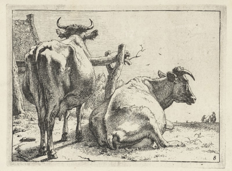 Two cows seen from behind, print maker: Paulus Potter, Paulus Potter, Frederik de Wit possibly, 1650
