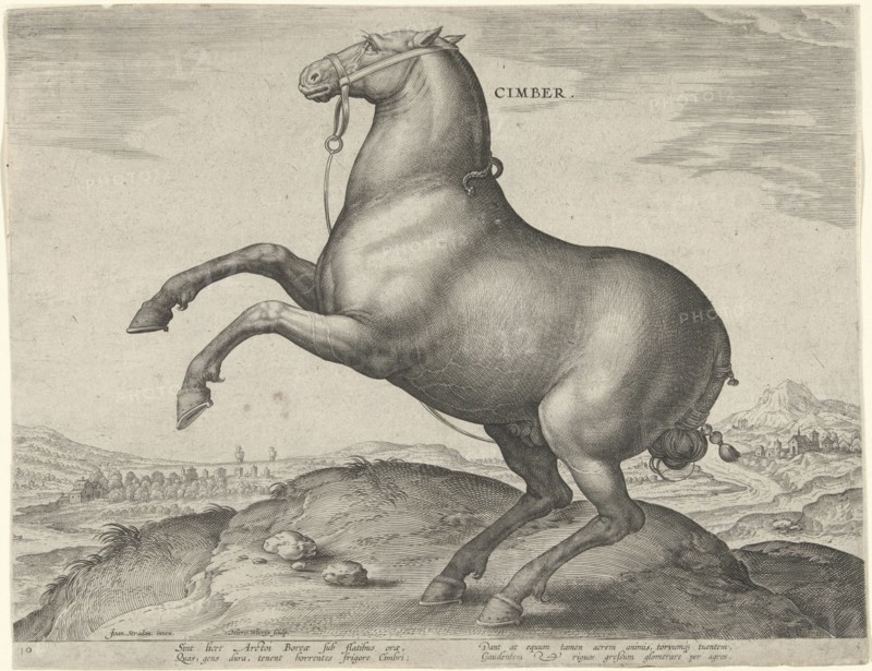 Horse from Scythia, Hieronymus Wierix, Philips Galle, c. 1583 - c. 1587