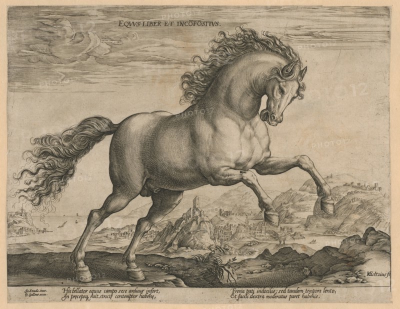 Bronco, Hendrick Goltzius, Philips Galle, 1577 - 1581