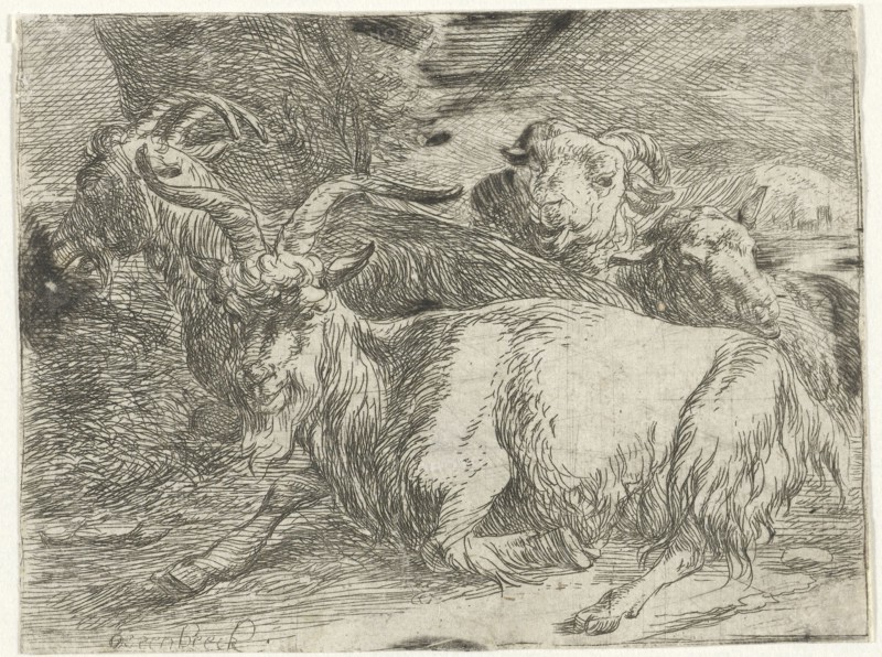 Two goats and two sheep, Jan van Ossenbeeck, 1647 - 1674