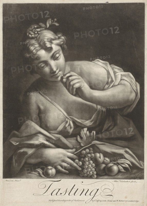 Taste, Alexander van Haecken, T. Jefferys, W. Herbert, 1739