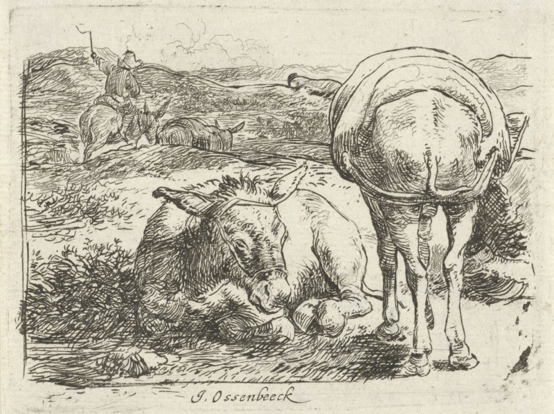Two donkeys, print maker: Jan van Ossenbeeck, 1647 - 1674