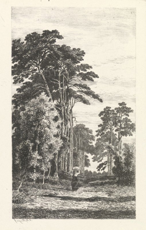 Dennenlaan, Alexander Mollinger, 1860