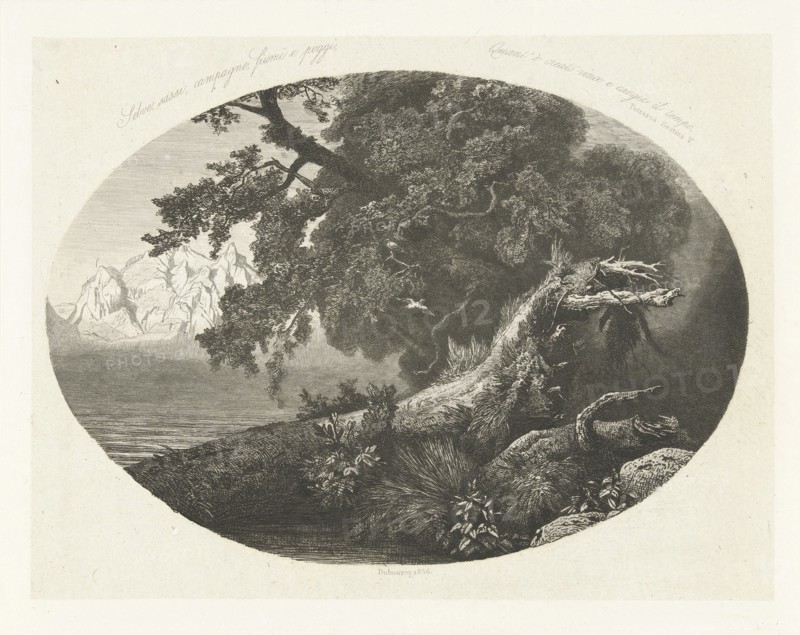Uprooted tree trunk on the coast, Pierre Louis Dubourcq, 1856
