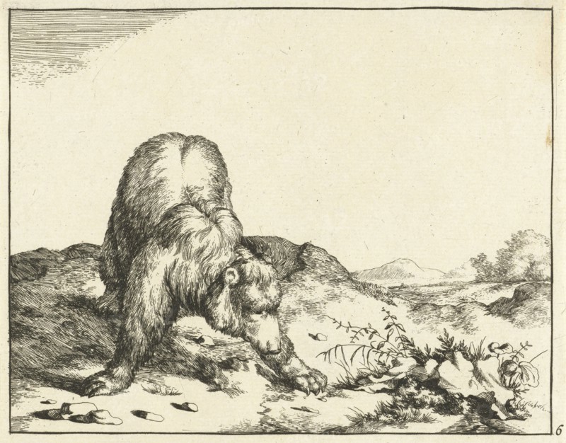 Standing Bear, from the front, the front legs wide apart