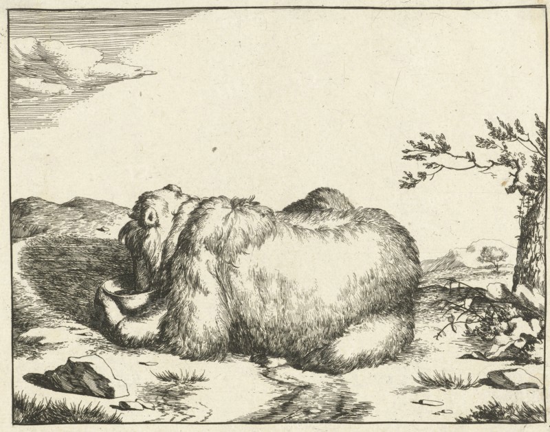 Reclining bear, from behind, drinking from bowl, Marcus de Bye, Marcus Gerards (I), 166 - 1664