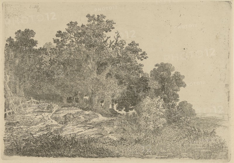 Forest view, Remigius Adrianus Haanen, c. 1827 - 1888