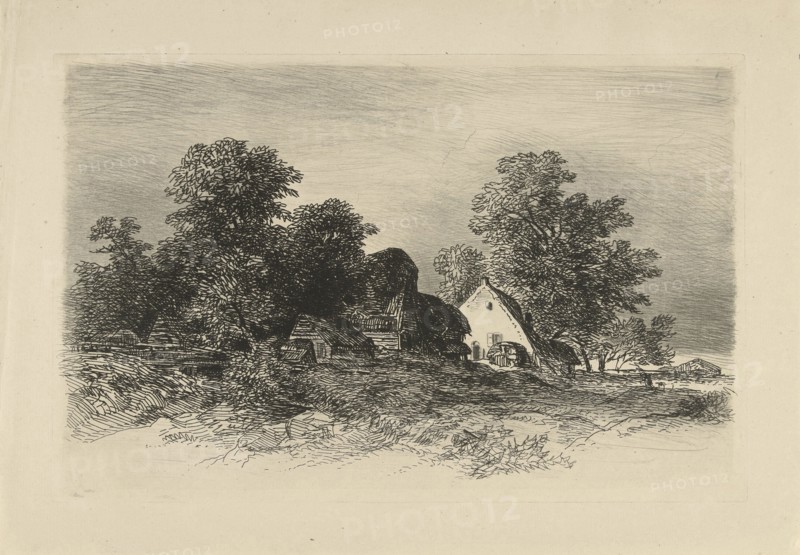 Watermill in a wooded landscape, Remigius Adrianus Haanen, c. 1827 - 1888