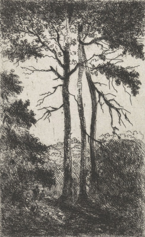 Three trees in a landscape, Arnoud Schaepkens, 1831 - 1904